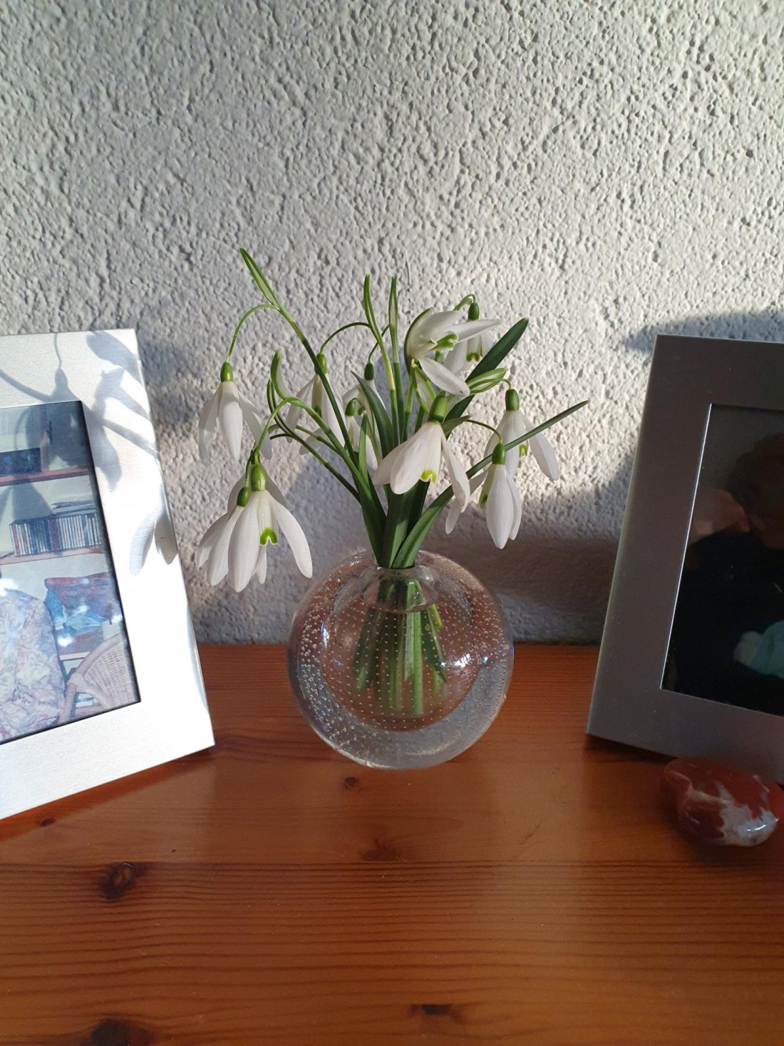 Blog 6: Sneeuwklokjes... vertellen een verhaal!