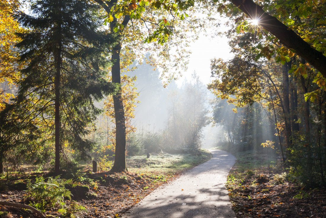 Blog 10: Mijn verhaal in beeld...